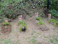 Cimitero per animali